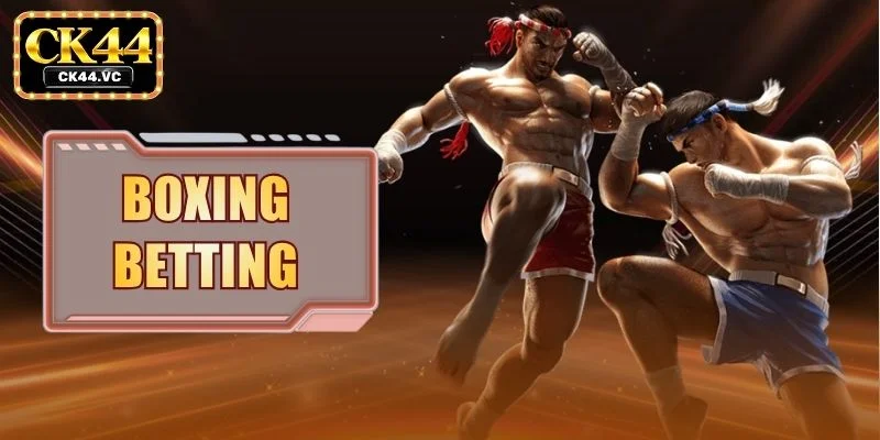 Boxing Betting - Match Rules And Strategic Frameworks