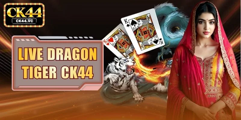 Live Dragon Tiger CK44 - Card Analytics And Secure Wagers