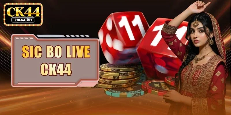 Sic Bo Live CK44 - Live Dice Rules, Odds And Payouts