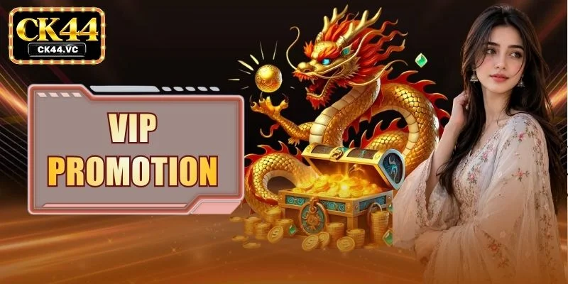 VIP Promotion - Loyalty Incentives And Exclusive Privileges